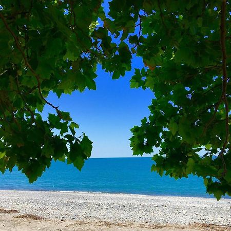 Guesthouse U Moti New Athos Buitenkant foto