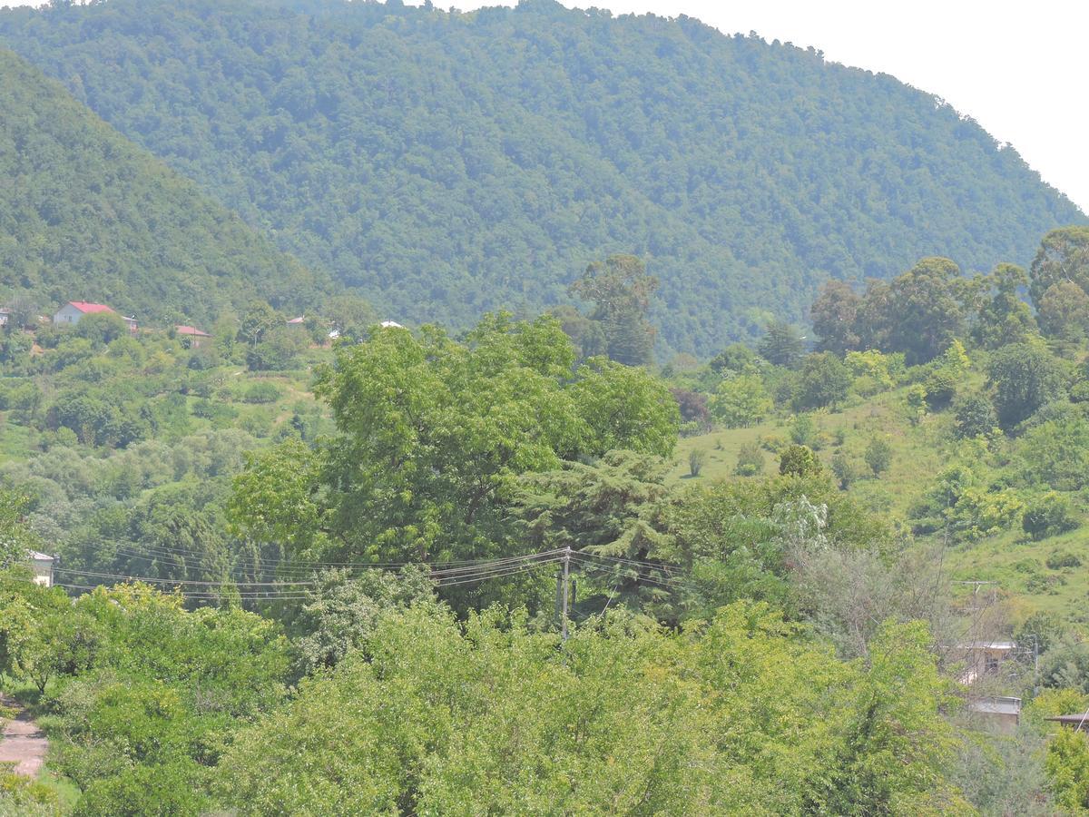 Guesthouse U Moti New Athos Buitenkant foto